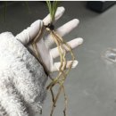 천종농장 이미지