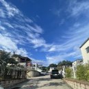 검빵이네 이미지