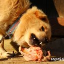 견우와 직녀 이미지