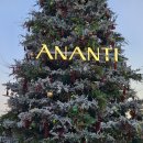 동남아빌라맨션 | 빌라쥬 드 아난티 가격 및 주차 체크인 과정 (클리퍼)