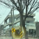 고양대로 | 스타벅스 드라이브 스루 고양대로DT점