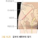 남매안경본점 렌즈미 | 40대 간호학과 만학도_5월 적응기1