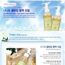 산다화 이미지
