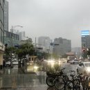 종로맥시스템점 애플 케이블 교체 : 별 거 없는 후기