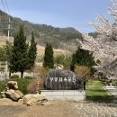 무릉공원 주차장 이미지