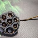 연자농장 이미지