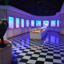 화진포해양박물관 이미지