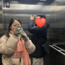 종로-신영-종로-영-245 | 26년 1월 일기