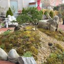 디마네 커피로스터스 이미지