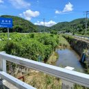 중선포천 이미지