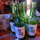 위하여포차 티스토리