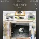 또몽 이미지
