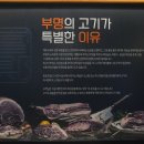 부명농장 이미지