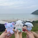 오타쿠들과 함께 제주도 짧은 여행 1일차