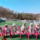 옥동이 이미지