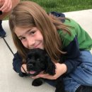 쓰담쓰담 이미지