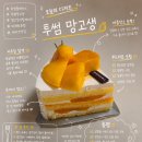 투썸플레이스 망고생 후기 망고 과육 듬뿍 올라간 여름 신메뉴 디저트 케이크 솔직리뷰