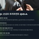 (주) 퓨처글로벌 | 프리미엄 손상모 트리트먼트 완벽 가이드