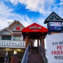 할리스커피 이미지