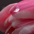 해람한의원 이미지