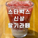 스벅 신메뉴 딸기라떼 마시러 온 춘천 스타벅스 강원대점 (생일 무료 쿠폰)
