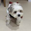 상인게임랜드 | 24년 10월-11월