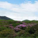 아소산 - 의정부시 | 아소산