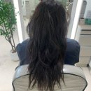 에이바헤어 시립대점) 예솔 디자이너님께 받고 머릿결 살아남, 하오니코 밀본 클리닉 3단계 후기! 강추!