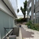 안국역 카페 리와인드 서울 후기 | 서울공예박물관 통창뷰가 예쁜 북촌 카페