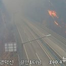 서의성IC