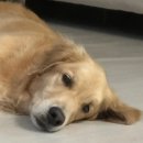 뉴월드 동물병원 이미지