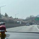 문경새재우체국 | [경상북도 문경 맛집] 벚꽃여행 허영만 백반기행 영순...석쇠·가성비 백반 후기 (운영시간·가격·주차)