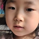 다애유치원 이미지