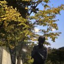 컨스파라 퍼펙트가드 코듀라 T1 웨이스트 슬링백 여행용 크로스백 도난방지 가방 솔직후기!