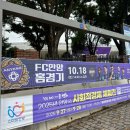 팀투혼 | 2025시즌 K리그1 33R &lt;FC안양 vs 김천상무&gt; 직관 후기 @아워네이션(안양종합운동장)