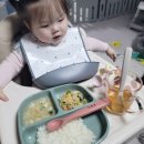 아산 엄마마음 이유식 내돈내산 이용후기