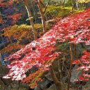 백양사(천안) 이미지