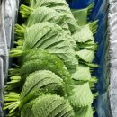 금산한국농장 이미지