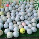 자유로스크린골프 이미지