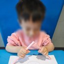 수수깡 이미지