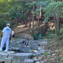 양을산산림욕장 네이버블로그