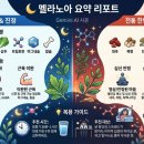 꿈꾸는노아