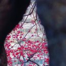 창신황제공인중개사사무소 이미지