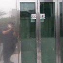 구갈로1 이미지