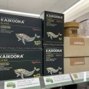 야옹아 멍멍해봐 리딩샵 이미지