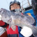 우럭한마리 이미지