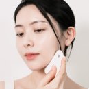 벨로즈