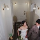 허니 헤어 이미지