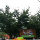 별고을오토캠핑장 이미지