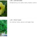 소안중학교 이미지